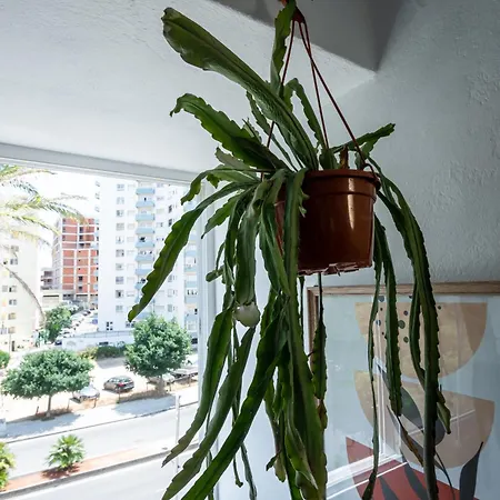 Apartamento Charming In Wi-fi/ac